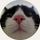 Cats World