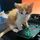 Crits For Cats, Inc. Cat Rescue