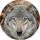 Wolf Daily