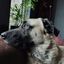 Profile picture max1.bsky.social