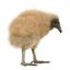 Profile picture labfreaker.bsky.social