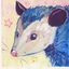Profile picture spycypossum.bsky.social