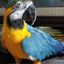 Profile picture pa14313.bsky.social