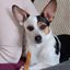 Profile picture zoeysdad1.bsky.social