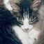 Profile picture swins.bsky.social