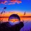 Profile picture the-bigger-picture.bsky.social