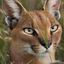 Profile picture comminicate26.bsky.social