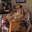 Profile picture truthsayerresistor.bsky.social