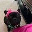 Profile picture justscottrocks.bsky.social