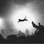 Profile picture thebaroness.bsky.social