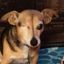 Profile picture brendajb.bsky.social