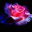 Profile picture xxxparejanovata.bsky.social