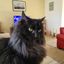 Profile picture karentheliberal.bsky.social