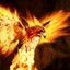 Profile picture firehawkjw.bsky.social