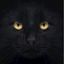 Profile picture darkspinster.bsky.social
