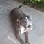 Profile picture jwacker1j.bsky.social