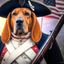 Profile picture hounds-of-liberty.bsky.social