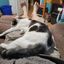 Profile picture carlwoodson049.bsky.social