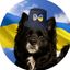 Profile picture alwaysinabook.bsky.social