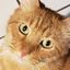 Profile picture dunplayin.bsky.social