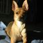Profile picture rschumacher.bsky.social