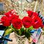 Profile picture cheryls15.bsky.social