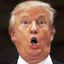 Profile picture trumpdisasters.bsky.social