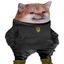 Profile picture bluepiscesgrrrl.bsky.social