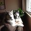 Profile picture kevin464.bsky.social