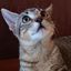 Profile picture michaeljklein.bsky.social