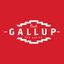 Profile picture visitgallup.bsky.social