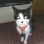 Profile picture anewhope10.bsky.social