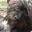 Profile picture luv-wins.bsky.social