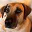 Profile picture mark214.bsky.social