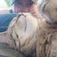 Profile picture adrialikes.bsky.social