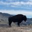 Profile picture texasbluedot70.bsky.social