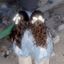 Profile picture twinsellaellen9.bsky.social