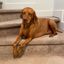 Profile picture vizsladad.bsky.social