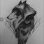 Profile picture wolf23192.bsky.social