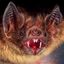 Profile picture johnfreiler.bsky.social
