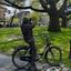 Urban Forest_arboriculture_treerider