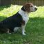 Profile picture sandihamilton.bsky.social