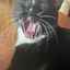 Profile picture onbehalfofhefool.bsky.social