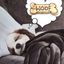Profile picture occamshavecream.bsky.social