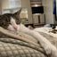 Profile picture lolathumbalina.bsky.social