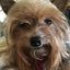 Profile picture phoenix509.bsky.social