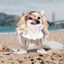 Profile picture coastfella.bsky.social