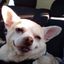 Profile picture itsnotwell.bsky.social