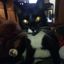 Profile picture eclipsis0.bsky.social