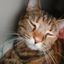 Profile picture okoye110320.bsky.social
